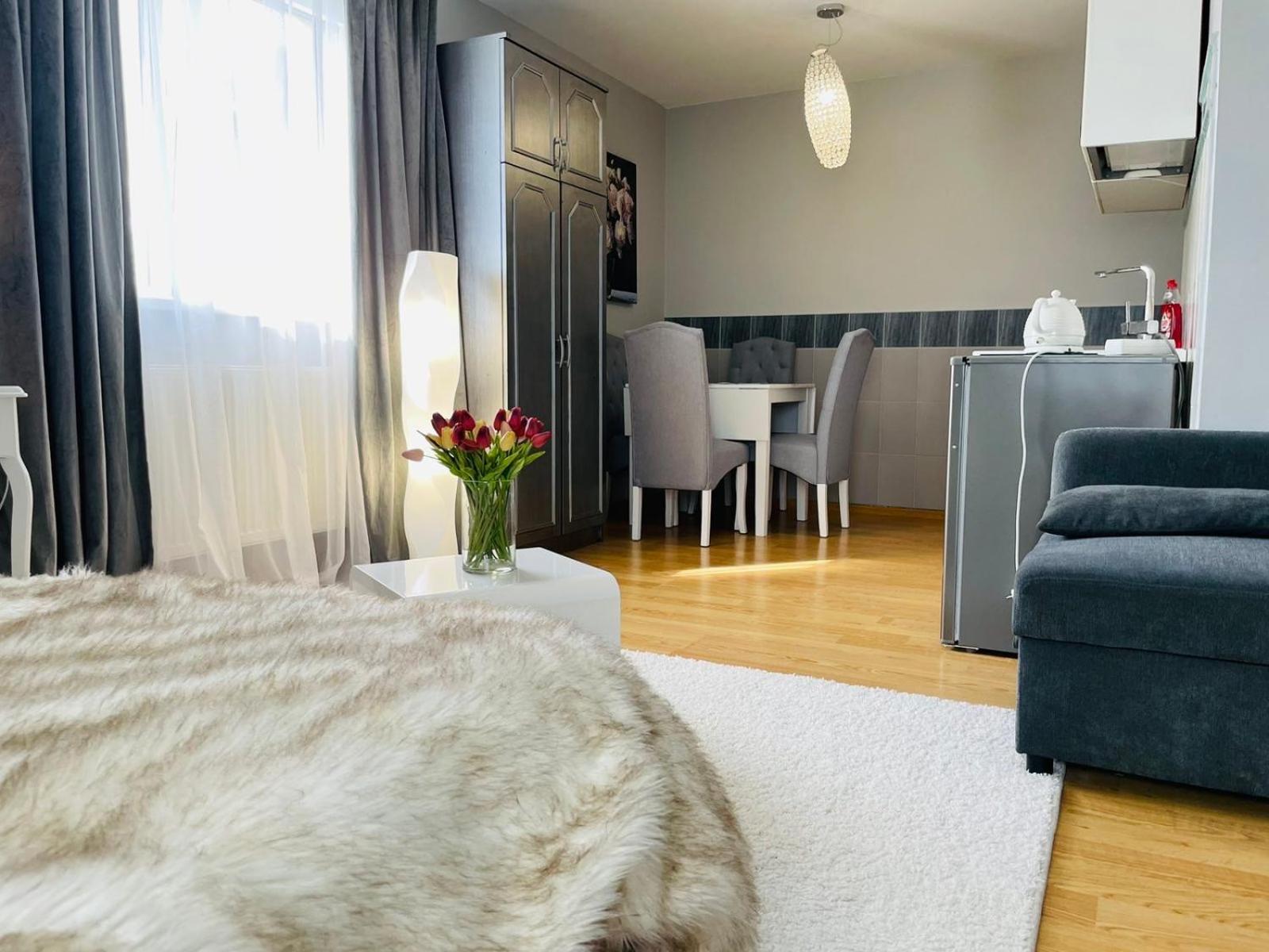 Vila"Anna" Apartman Palanga Kültér fotó